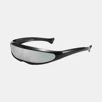 Black/Silver